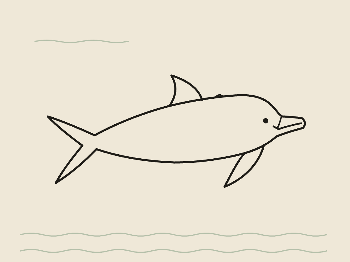 海豚線條插圖