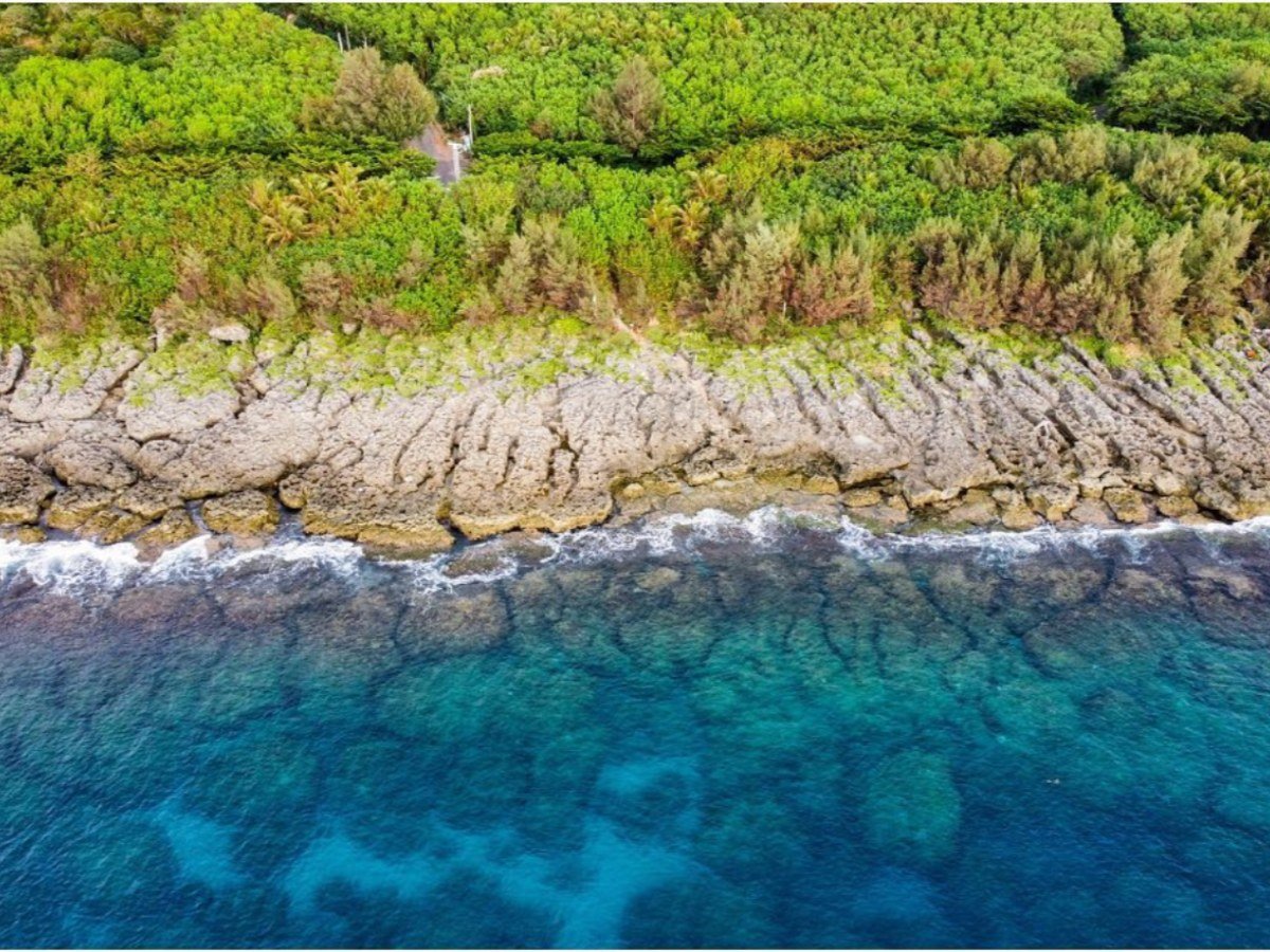 合界 沿岸珊瑚礁